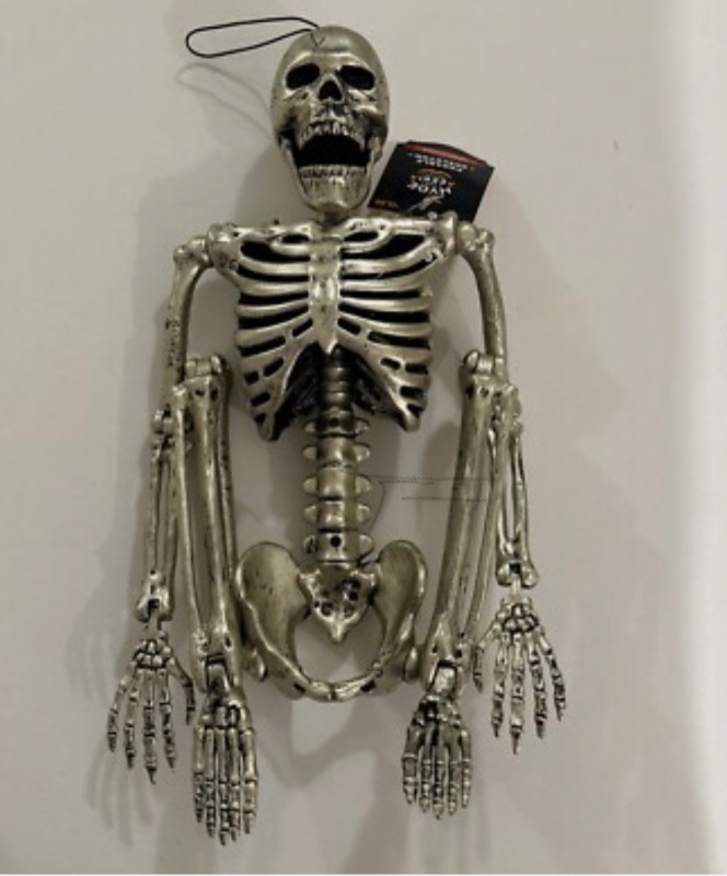 Photo 1 of Hyde & EEK Posable Skeleton 