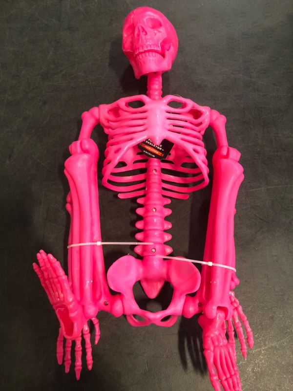 Photo 1 of Hyde & EEK Posable Skeleton, Pink 