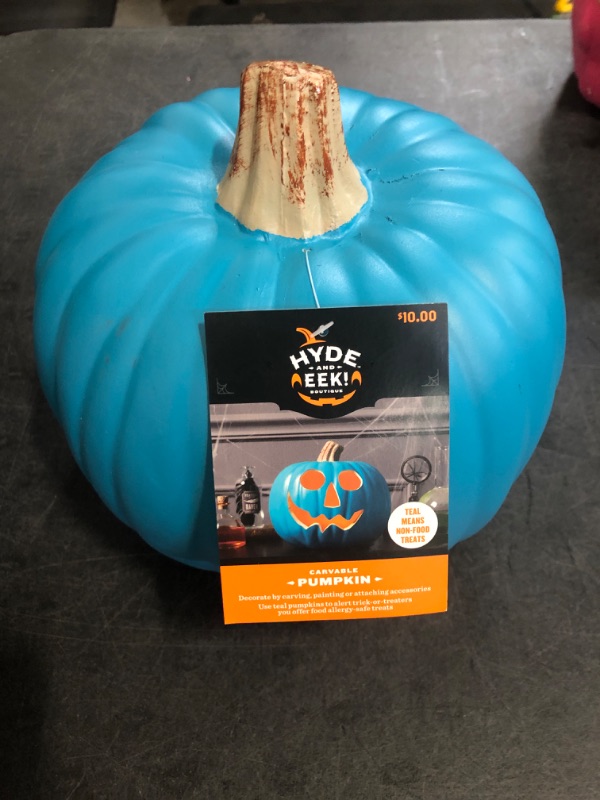 Photo 1 of Blue Hyde & EEK Carvable Pumpkin 