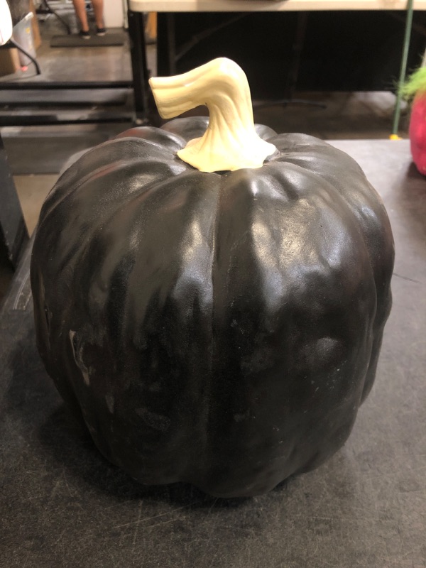Photo 1 of Hyde and EEK Black Outdoor/Indoor Pumpkin Decor