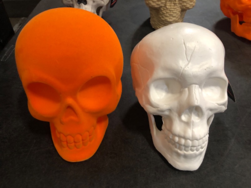 Photo 1 of 6 Random Hyde and EEK Skull Head Decors