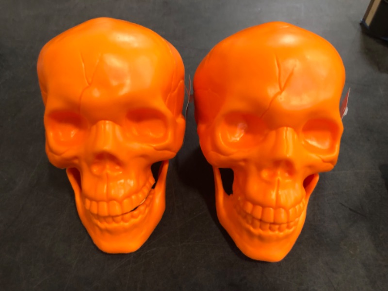 Photo 1 of 6 Random Hyde and EEK Skull Head Decors