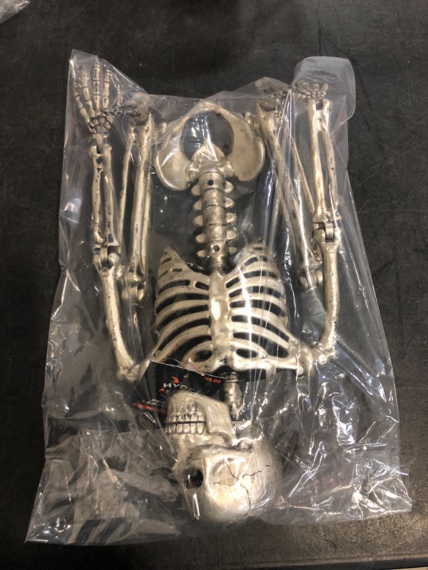 Photo 1 of Hyde and EEK Plastic Holiday Skeleton Decor