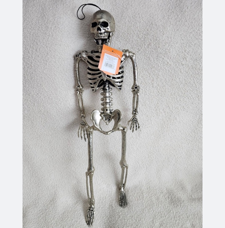 Photo 1 of Hyde and EEK Plastic Holiday Skeleton Decor