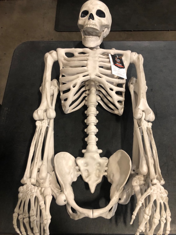 Photo 1 of Hyde and EEK Posable Skeleton 5ft 