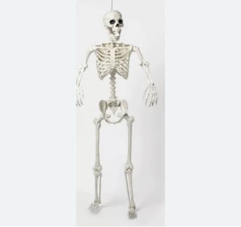 Photo 1 of Hyde and EEK Halloween Posable Skeleton Decor Indoor/Outdoor