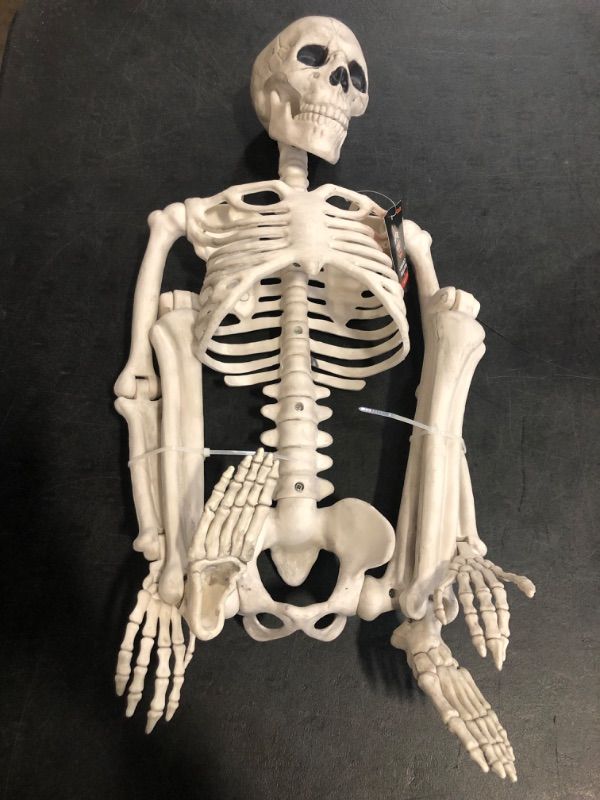 Photo 1 of Hyde and EEK Halloween Posable Skeleton Decor Indoor/Outdoor