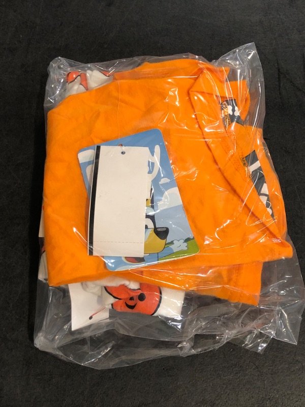 Photo 1 of 6-9M Pumpkin 2 Piece Set , 18M BOO Bluey T-Shirt 