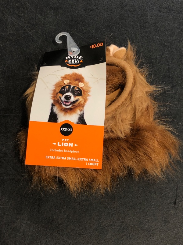Photo 1 of XXS/XS Halloween Lion Dog and Cat Headwear
