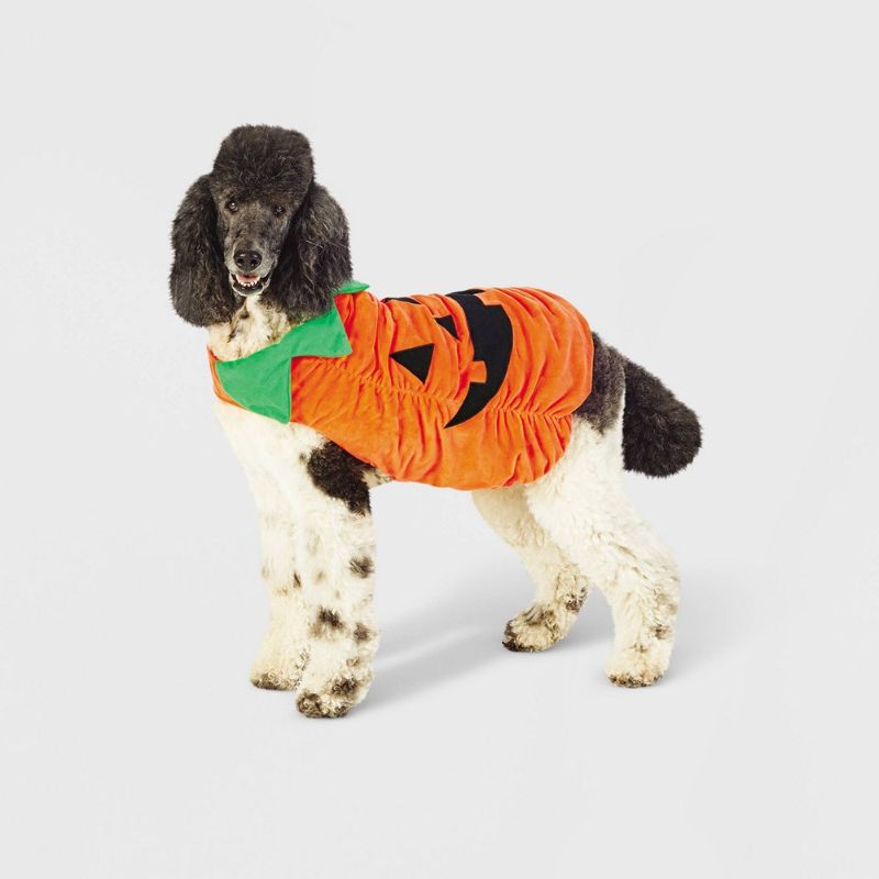 Photo 1 of XL Plush Pumpkin Dog Costume - XL - Hyde & EEK! Boutique™
