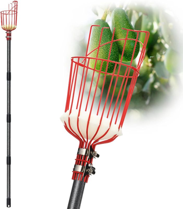 Photo 1 of Fruit Picker Pole Tool with Basket Telescoping, Adjustable Apple Picker Pole 35-170 inch Long Handle, Mango Orange Avocado Fig Acorn Lemon Pear Pomelo Chery Picker for Tree