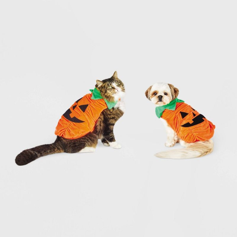 Photo 1 of Size S Hyde & EEK! Boutique Plush Pumpkin Dog and Cat Costume - Small