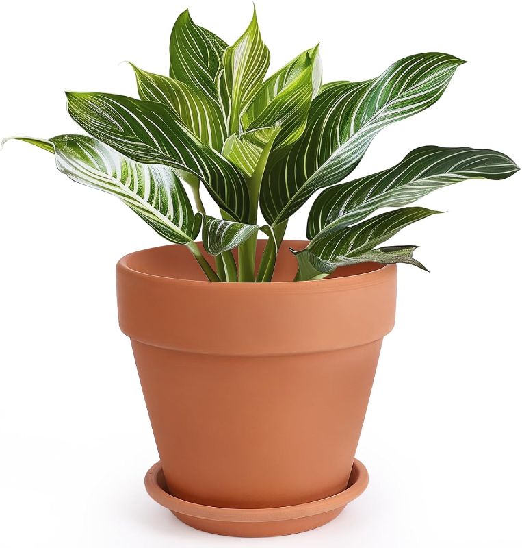 Photo 1 of INGOFIN Terracotta Pot with Saucer - 10 Inch Ceramic Clay Pot for Plants with Drainage Hole, Large Terra Cotta Flower Planter with Tray for Indoor Outdoor Plants