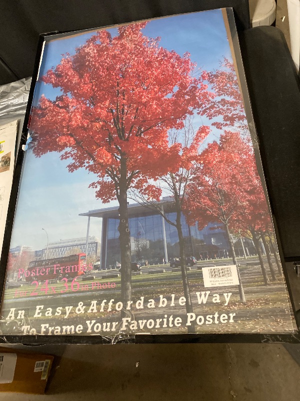 Photo 1 of Medog 24x36 Poster Frame Black, Display Pictures 24x36 Picture Frame, Studio Gallery Frame, Wall Schools Colleges Sign Frame, 1 Pack
