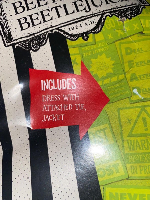 Photo 1 of LARGE 10/12- Girls Beetlejuice Astrid Gray & Red Plaid Dress Outfit Halloween Costume
