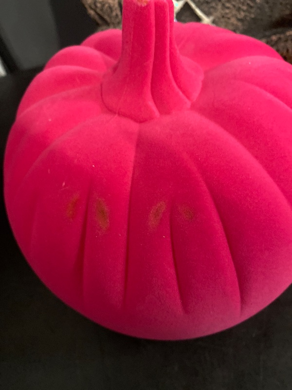 Photo 1 of 3 HALLOWEEN DECOR ITEMS 