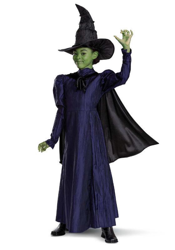 Photo 1 of LARGE 10/12- Girls Deluxe Wicked Elphaba Purple Dress Costume