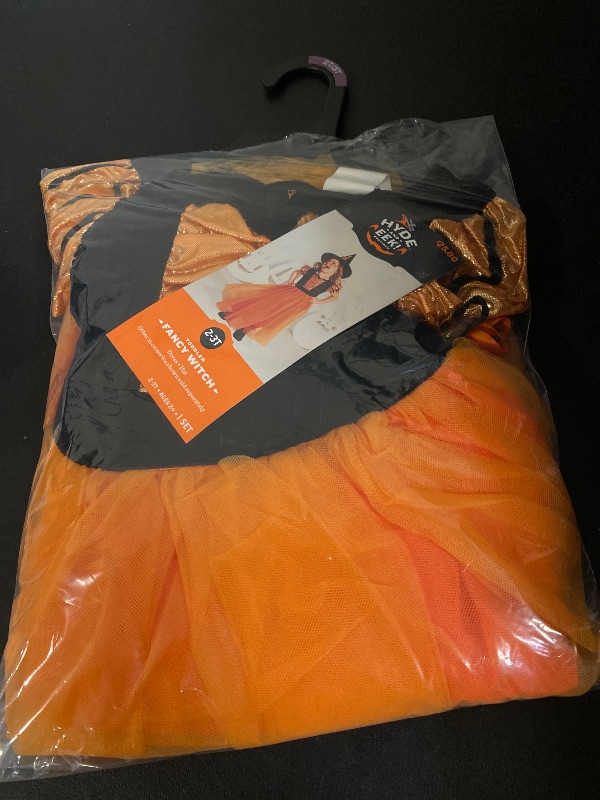 Photo 1 of SMALL 2/3T Toddler Fancy Witch Halloween Costume Dress