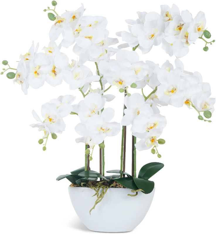 Photo 1 of Ziwon Artificial Orchid Flowers & Plants Potted in Ceramic Pot, White Faux Phalaenopsis Orchids for Table Centerpiece, Realistic Fake Flower Arrangement for Home Office Decor Indoor
