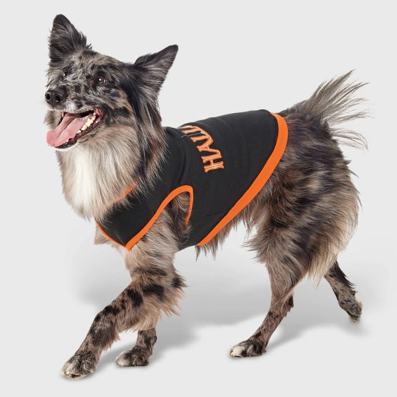 Photo 1 of MEDIUM Halloween Dog Sweatshirt - Hyde and EEK! Boutique
