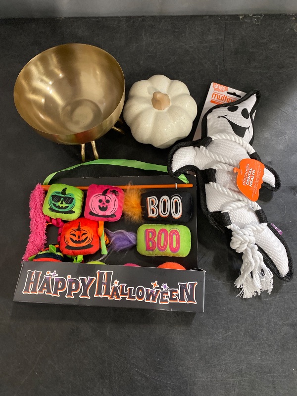Photo 1 of 4 Item Seasonal & Party Supplies Bundle | 2 Pet Toys, 2 Home Decor