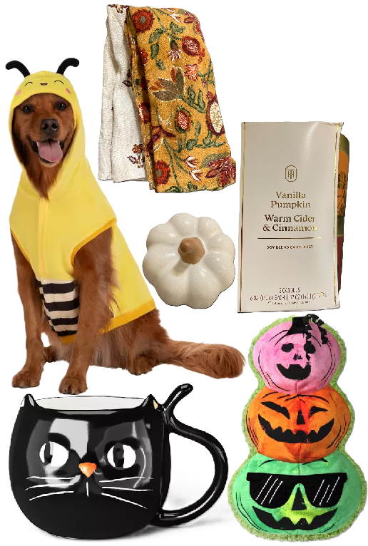 Photo 1 of 6 Item Seasonal & Party Supplies Bundle | 1 Dog Outfit, 2 Candles, 2 Kitchen Towels, 1 Home Decor, 1 Cup, 1 Cat Toy