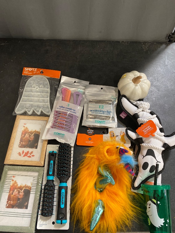 Photo 1 of 10 Item Seasonal & Party Supplies Bundle | 5 Combs, 1 Toy, 12 Hair Clips, 3 Home Decor, 1 Pet Outfit, 1 Pet Toy, 1 Cup