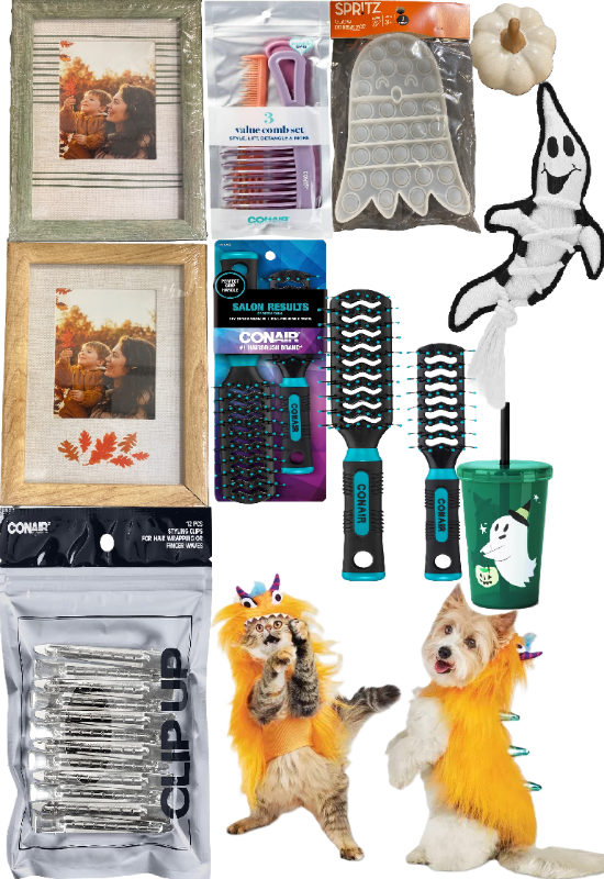 Photo 1 of 10 Item Seasonal & Party Supplies Bundle | 5 Combs, 1 Toy, 12 Hair Clips, 3 Home Decor, 1 Pet Outfit, 1 Pet Toy, 1 Cup
