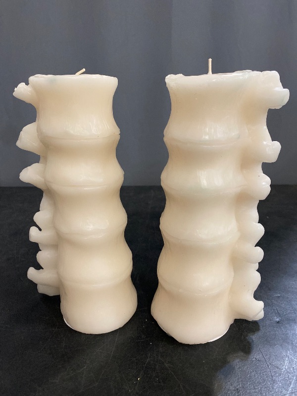 Photo 1 of  2 Pack-Vertebrae Spine Bone Skeleton Candle - White- New Threshold Halloween