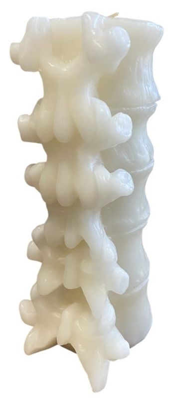 Photo 1 of 2 Pack-Vertebrae Spine Bone Skeleton Candle - White- New Threshold Halloween