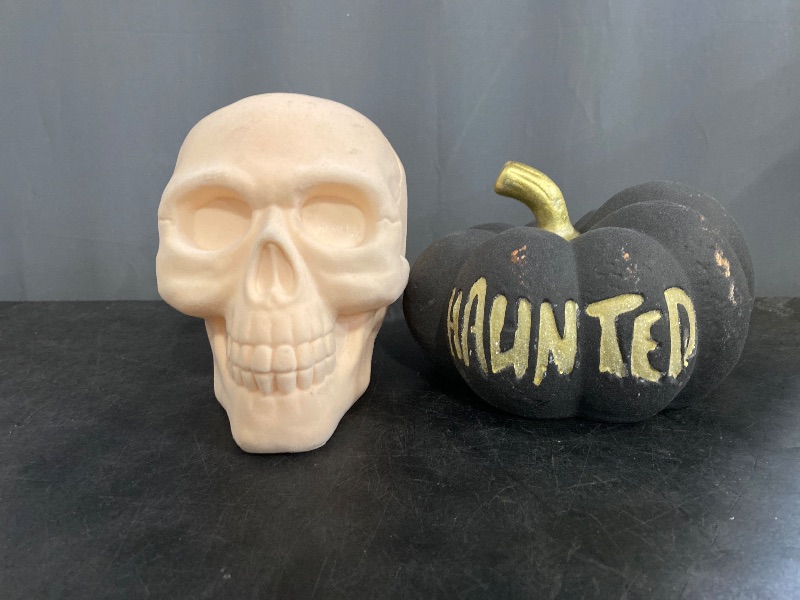 Photo 1 of Hyde and Eek Skull and Ceramic pumpkin.