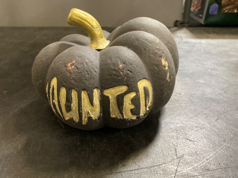 Photo 1 of Hyde and Eek Skull and Ceramic pumpkin.
