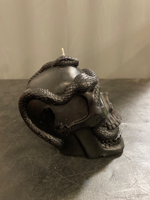 Photo 1 of 5.1' Skull and Snake Candle Black - Threshold and Light-up Halloween Pumpkin 