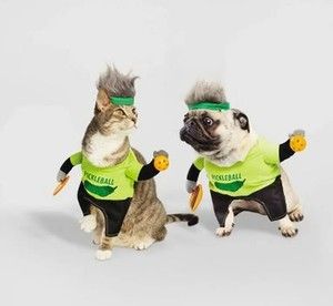 Photo 1 of (XS) Hyde and EEK Pickleball Player costume.