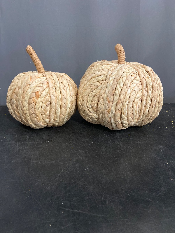 Photo 1 of  2 Pack Pumpkin Fall Decor Thanksgiving