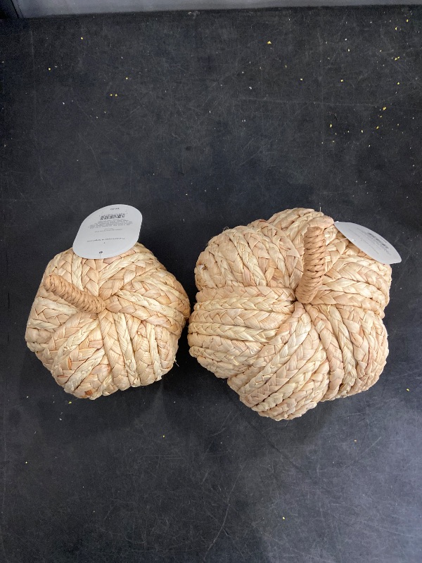 Photo 1 of  2 Pack Pumpkin Fall Decor Thanksgiving