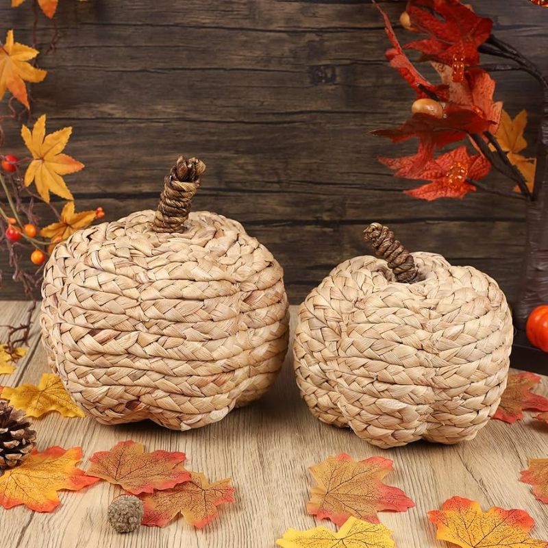 Photo 1 of  2 Pack Pumpkin Fall Decor Thanksgiving