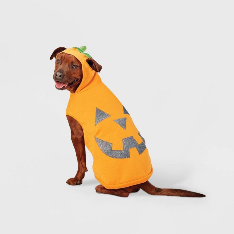 Photo 1 of Large- Reflective Halloween Jack-o-lantern Pumpkin Dog Costume/6ct Vampire Fangs