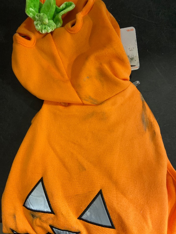 Photo 1 of Large-  Reflective Halloween Jack-o-lantern Pumpkin Dog Costume/6ct Vampire Fangs