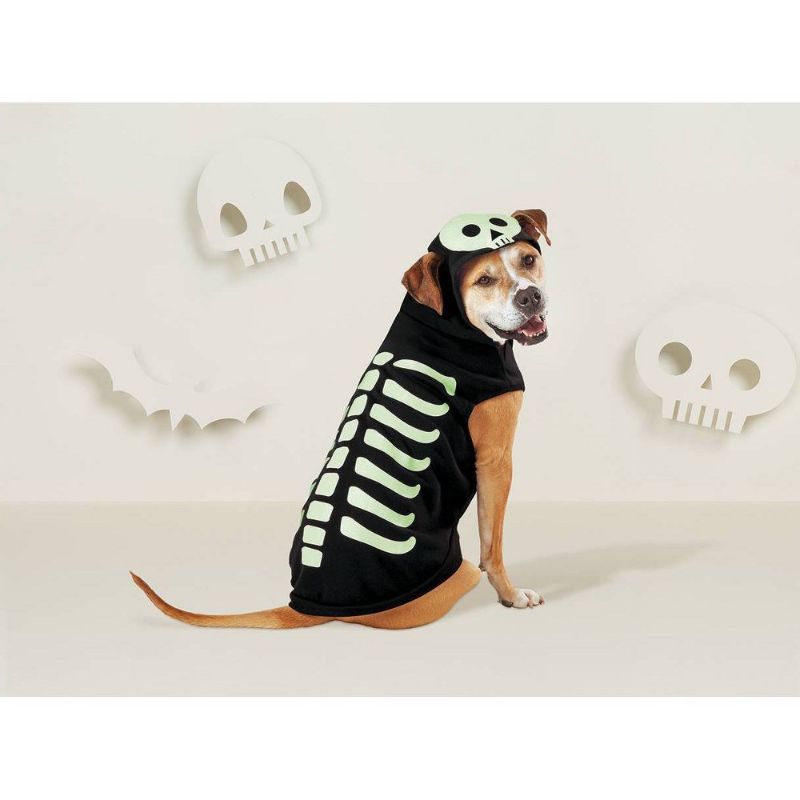 Photo 1 of Large -Halloween Skeleton Glow Hoodie Dog Costume