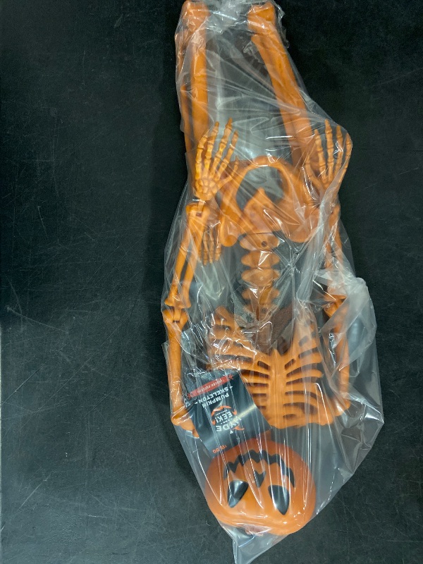 Photo 1 of Pumpkin skeleton 