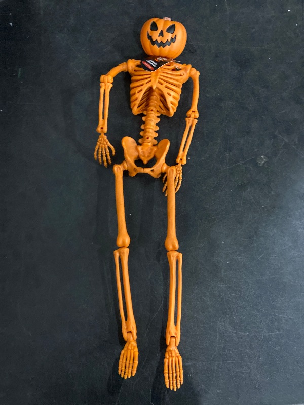 Photo 1 of Pumpkin skeleton 