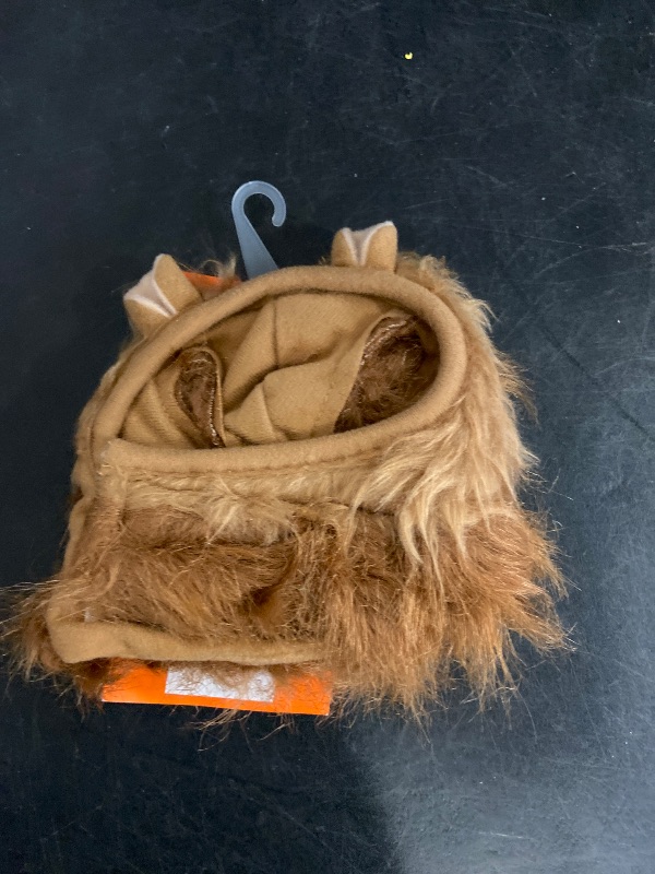 Photo 1 of XXS/XS- Halloween Lion Dog and Cat Headwear