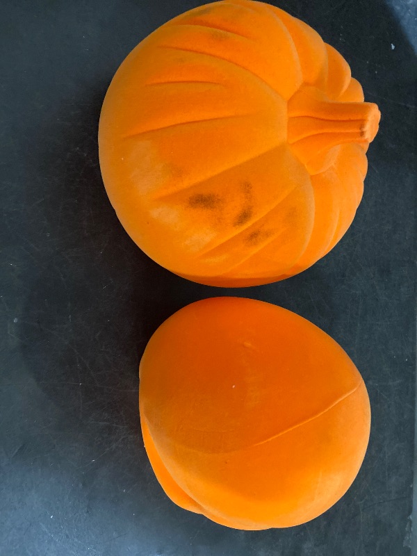Photo 1 of 7.5” Height - Halloween/Fall Pumpkin / Skull