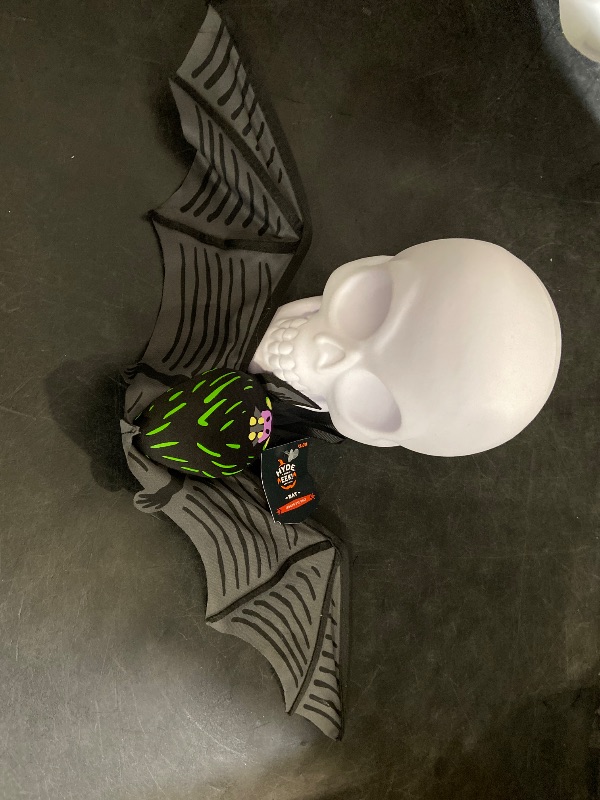 Photo 1 of Bat and skull 