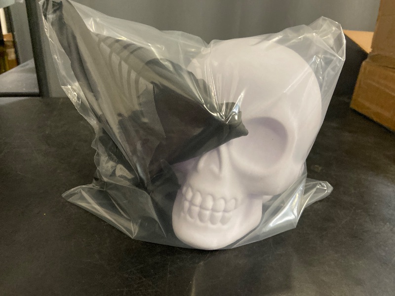 Photo 1 of Bat and skull 