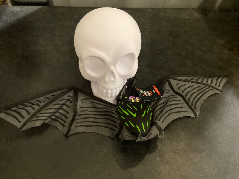 Photo 1 of Bat and skull 