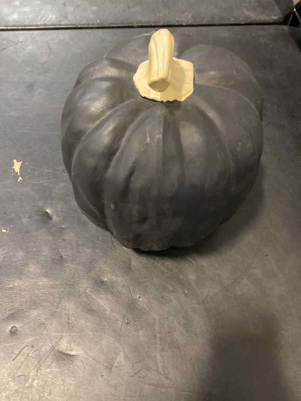 Photo 1 of NEW Hyde & Eek Black Sheltered Porch Pumpkin Decorative Sculpture, Large