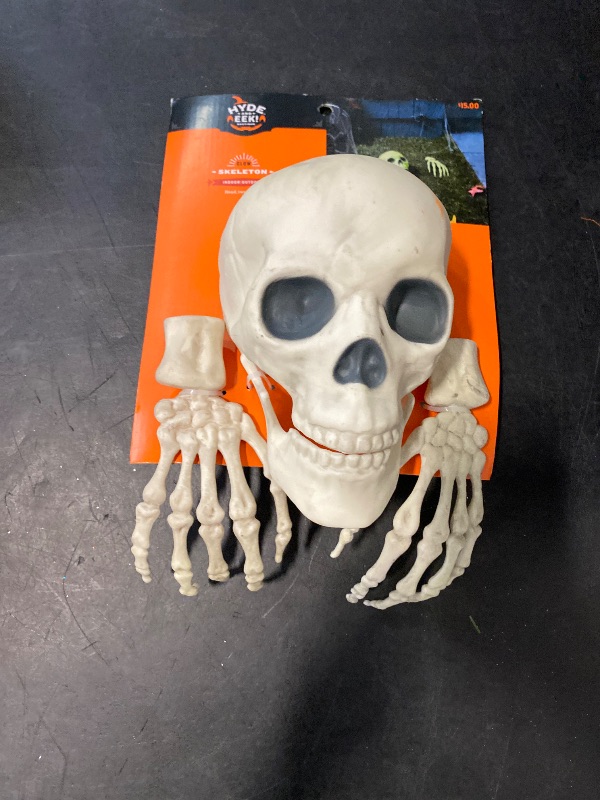 Photo 1 of Glow in the Dark Skull with Hands Halloween Decorative Prop - Hyde & EEK! 