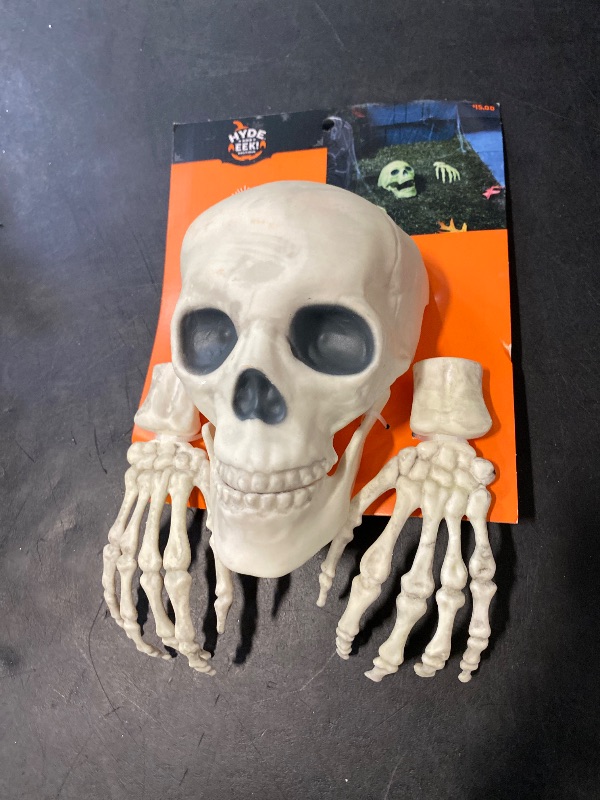 Photo 1 of Glow in the Dark Skull with Hands Halloween Decorative Prop - Hyde & EEK! 